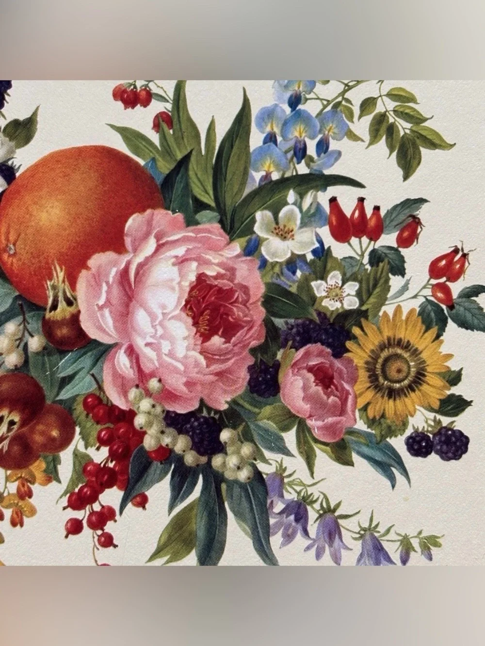 Pimpernel Vintage Botanical Meissen Floral Fruit Cork Backed Placemats Set of 4